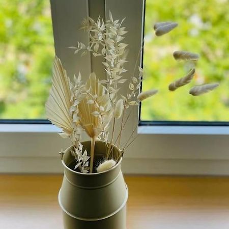 Gemutliche & Komplett Ausgestattete Residenz Essen Kültér fotó